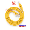 day-mang-bam-san-cat5e-utp-ugreen-11233 - ảnh nhỏ  1