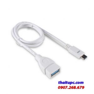 Cáp USB sang Type C nối dài SSK UC-CA980